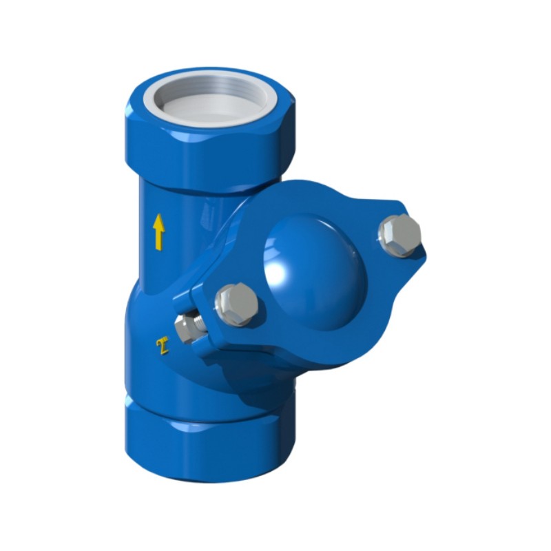 Afpumps threaded ball check valve 1" ½ RS.26.003N