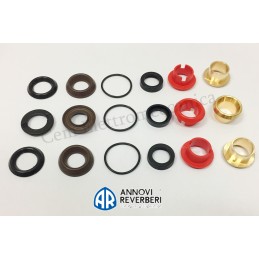 Kit Dolly A1866 anelli tenuta + O-ring ANNOVI REVERBERI serie 126 HPE