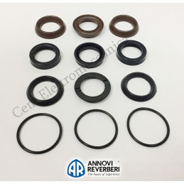 Dolly kit A1874 sealing rings + O-rings ANNOVI REVERBERI 126 HPE series