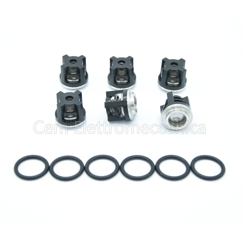 Dolly kit A42169 valves ANNOVI REVERBERI series 298 RW