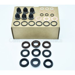 Kit manutenzione 750 ore per pompa Interpump serie 47 ø 20 mm